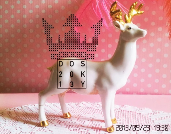 DOSKY 2013